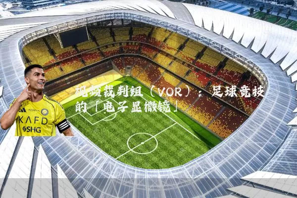 视频裁判组(VOR):足球竞技的「电子显微镜」